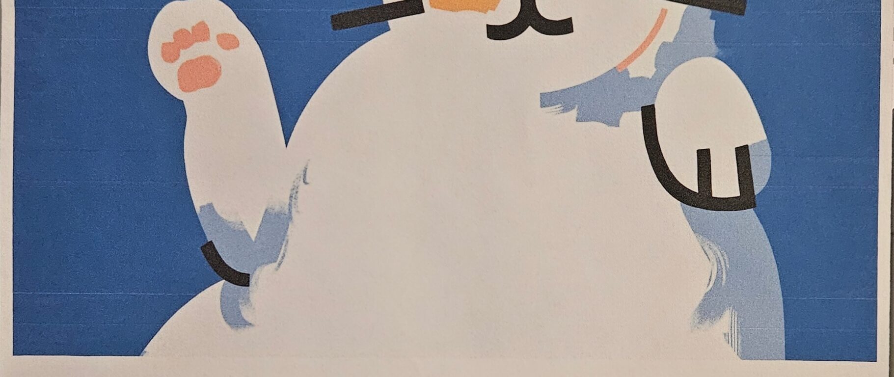 Zbiórka karmy dla kotów