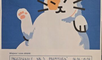 Zbiórka karmy dla kotów